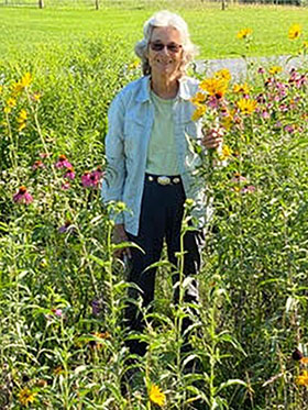 Liza's gardens